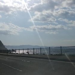 地磯に友人たちと…