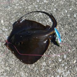 激シブの中執念の1尾