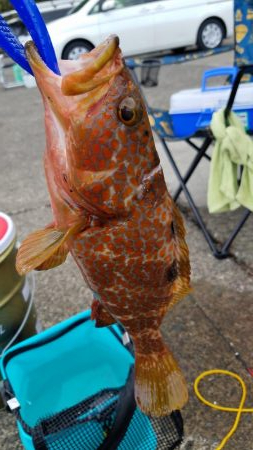 イカ釣りに行ったつもりが…