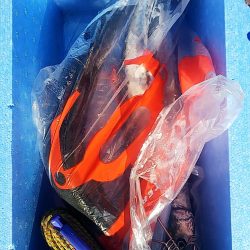 サゴシラッシュ!!