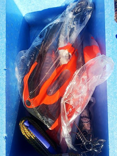 サゴシラッシュ!!