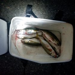 ファミリーフィッシング GAME