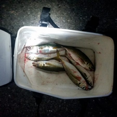 ファミリーフィッシング GAME