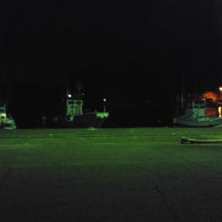 なんとかアジングになりました