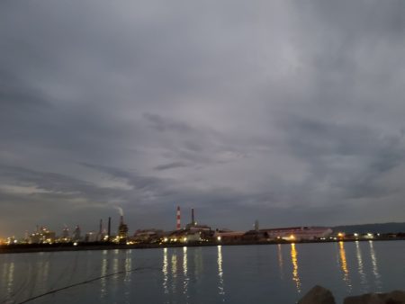 こんなん釣れました