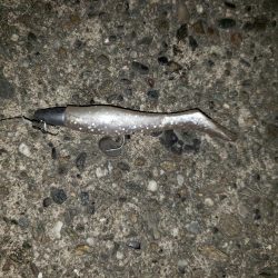 夜練釣行