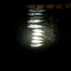 ファミリーフィッシング　GAME