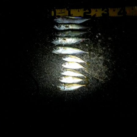 ファミリーフィッシング　GAME