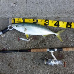 早朝プチsalt water game!