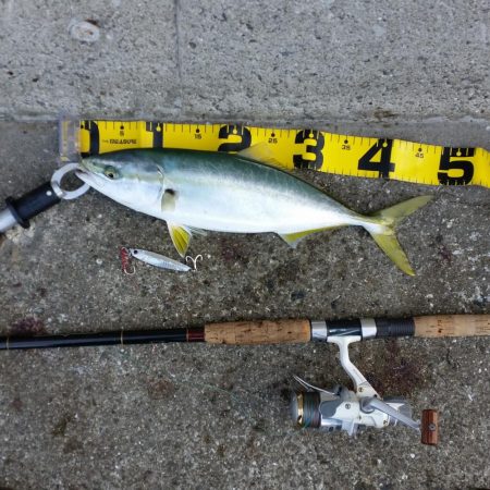 早朝プチsalt water game!