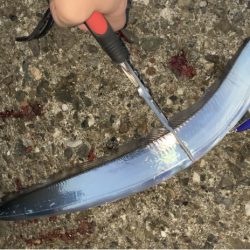 好調タチウオ釣り