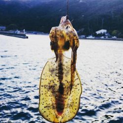 15打数8安打！！