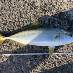 大阪湾いい感じ!