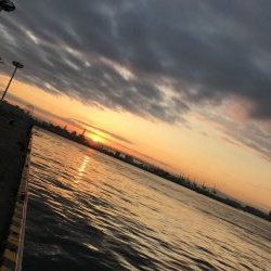 舞洲でなんとか1匹