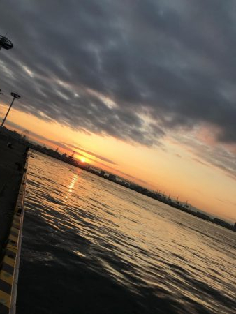 舞洲でなんとか1匹