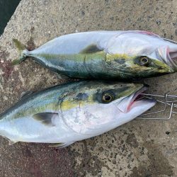 アジングからの〜ショアジギ