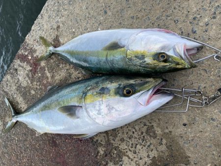 アジングからの〜ショアジギ