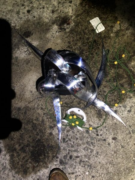 洲本港でタチウオ釣り