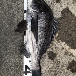 イチノ兄弟、釣果！