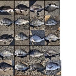 イチノ兄弟、釣果!