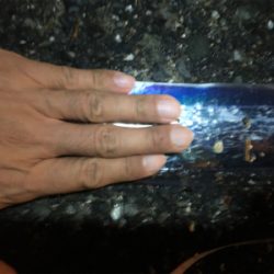 ウキ釣りでタチウオ