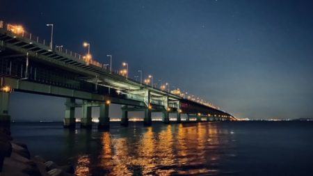 育ってきてますね