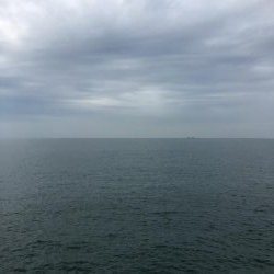 やっとこミニハマチ