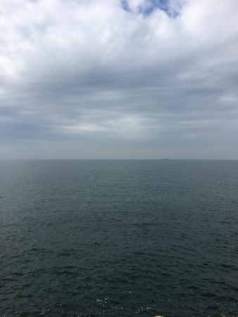 やっとこミニハマチ