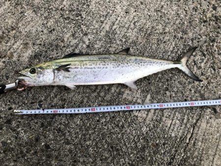 かなりの高活性