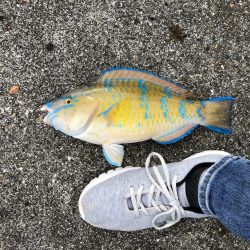 久々のフカセ釣り〜