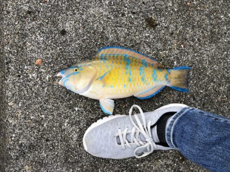 久々のフカセ釣り〜