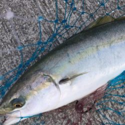 久しぶりに、、