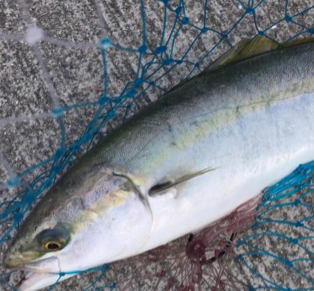 久しぶりに、、