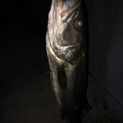 人生初のランカー獲ったどー！