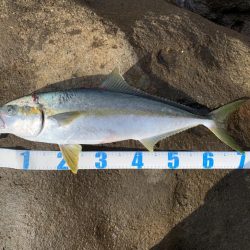 リベンジ成功！