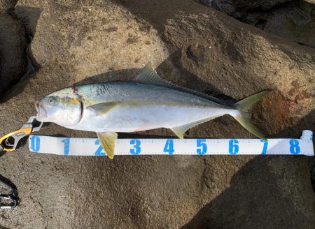 リベンジ成功！