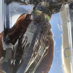 今シーズン最終戦！