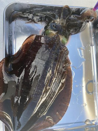 今シーズン最終戦！