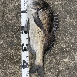 イチノ兄弟、釣果！