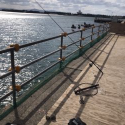 久しぶりの夢港