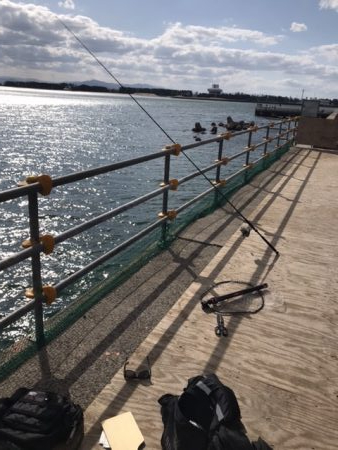 久しぶりの夢港