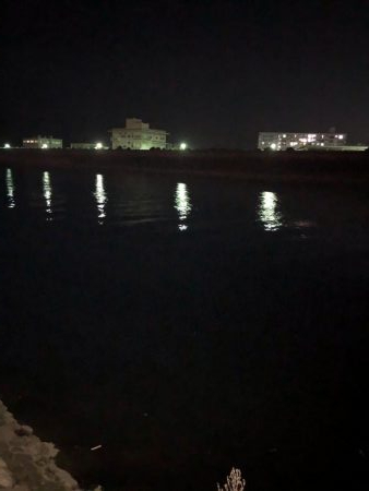 明石川でシーバス