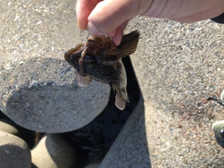 エギングと穴釣り