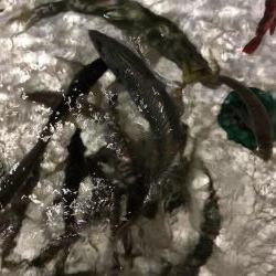 オフショアジギング・バチコンアジング