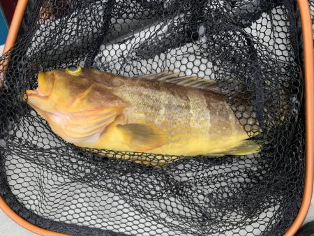 天草付近でのタイラバ