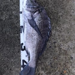 イチノ兄弟、釣果！