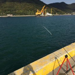 ファミリーフィッシング2