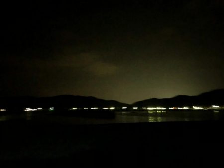 バケツから忽然と消えたタチウオ