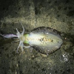 久しぶりの和歌山遠征