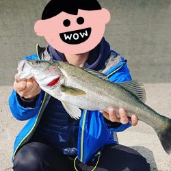 飲ませシーバス